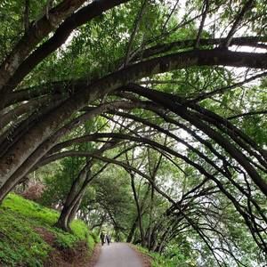 Meet your Posher, Suzy